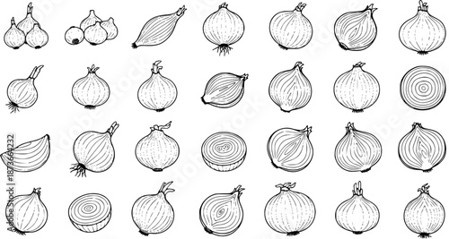 Comprehensive Hand-Drawn Onion Collection: Detailed Black and White Illustrations of Whole, Sliced, and Bundled Onions in Various Forms and Cuts.