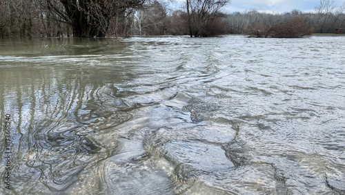 фотографія Danube river flood with overflowing water and submerged trees