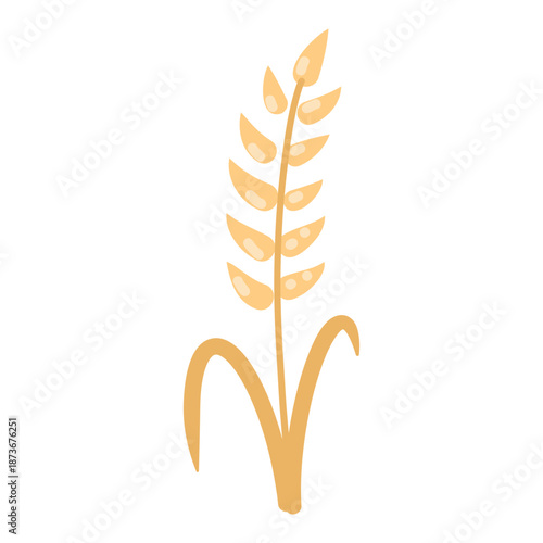 Wheat plants in soft naive illustration style, hand drawn. Isolated element on a white background 