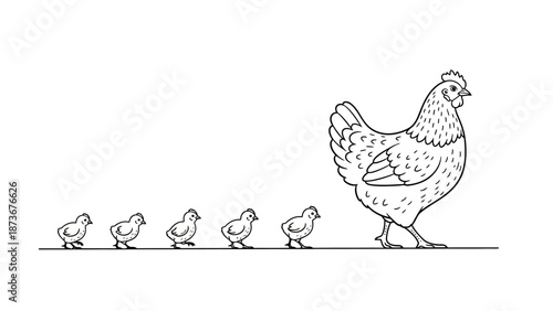 Line Drawing Chicken and Chicks Walking in a Row