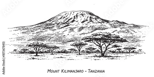 Mount Kilimanjaro landscape with acacia trees illustrated in a vintage black and white engraving style.