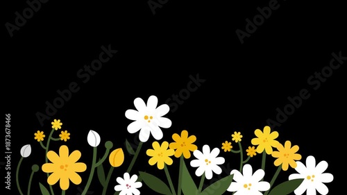 꽃2(모션+풀+식물+노랑+흰색)