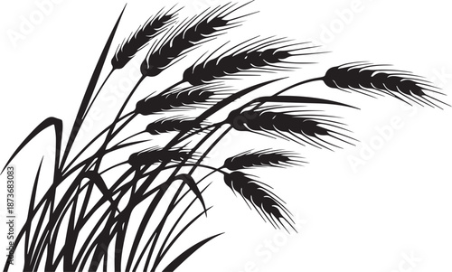 Black and white illustration of wheat or grass flowers