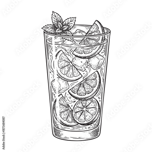Mojito Cocktail in a Highball Glass Engraving Illustration