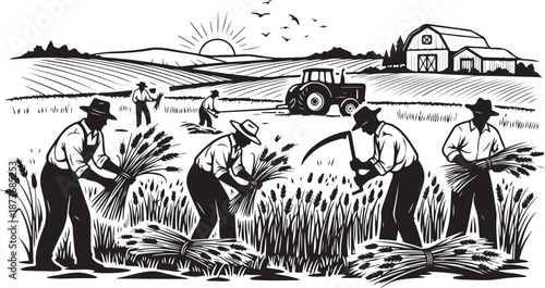 Farmers harvesting wheat in a rural landscape scene outdoors