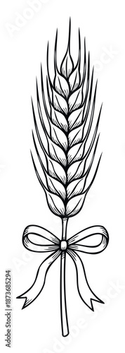 A finely rendered single wheat ear tied elegantly with a decorative ribbon, suitable for farm fresh food packaging, organic bakery branding, harvest festival themes, and traditional