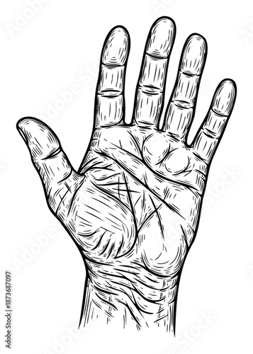 Graphic black and white human hand with an open palm revealing significant life lines and detailed contours ideal for spiritual guidance themes or educational content