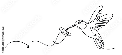 Elegant continuous line depiction of a graceful hummingbird with its long beak reaching for nectar from a flower, ideal for sophisticated branding, prints, or educational materials.
