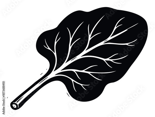 Graphic single spinach leaf with visible vein structure perfect for representing healthy food organic ingredients fresh produce and vegetarian culinary themes