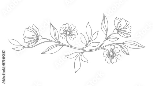 Simple Line Drawing of Flowers and Leaves.