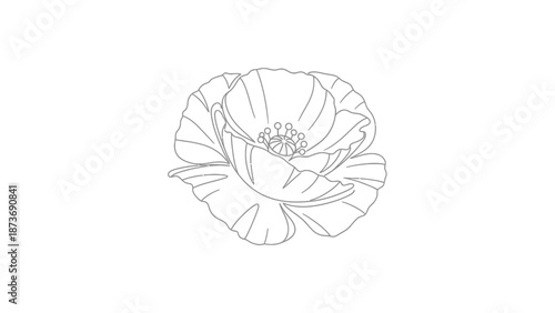 Simple Line Drawing of a Flower.
