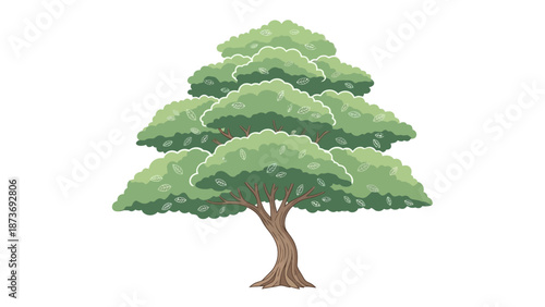Illustration of a Green Tree with Branches.