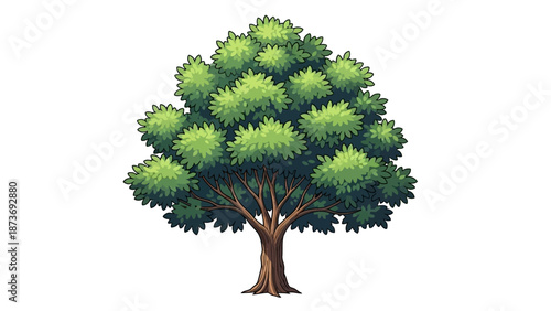 Green Tree with Thick Foliage and Trunk.
