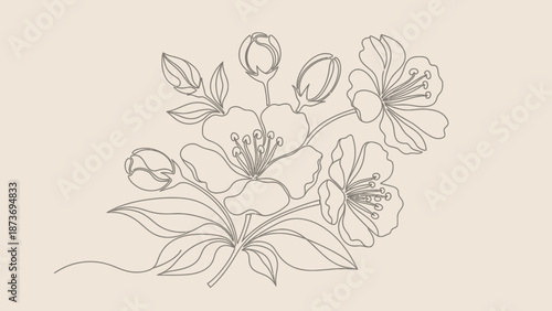 Detailed Line Drawing of Flowers and Leaves.