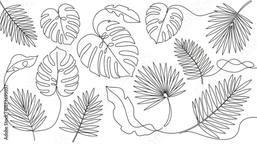 Collection of Hand Drawn Tropical Leaves.