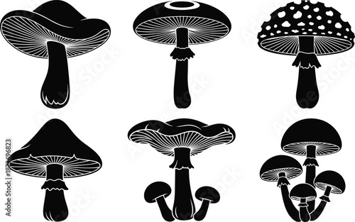 Mushroom Silhouette Collection with Different Wild Fungi Shapes Botanical Nature Black Flat Vector Illustration