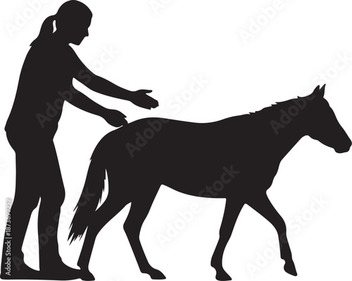 Woman petting a horse in a gentle loving manner