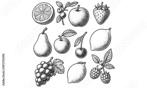 Vintage Fruit Botanical Illustration Set Lemon Apple Berry Cherry