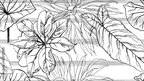 black and white flowers