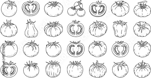 Hand-drawn line art illustration set of various tomatoes, showcasing different shapes, whole and half-cut vegetables, perfect for culinary and garden-themed designs.