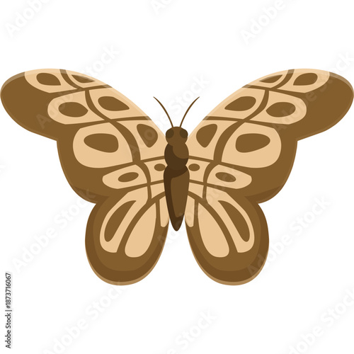 Brown Butterfly with Ochre Patterns