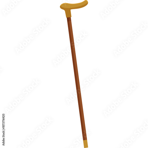 Vászonkép Cane with a hook handle