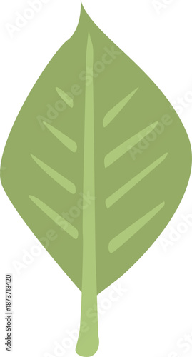 緑の葉のイラスト 透明背景