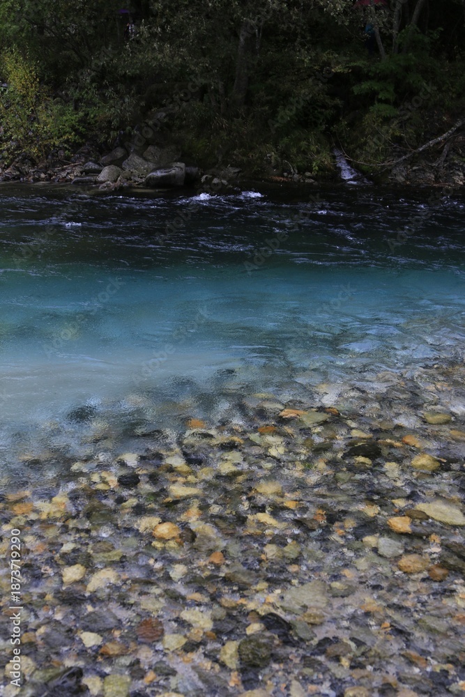 Fototapeta premium Crystal Clear Azusa River with Colorful Riverbed Pebbles in Kamikochi
