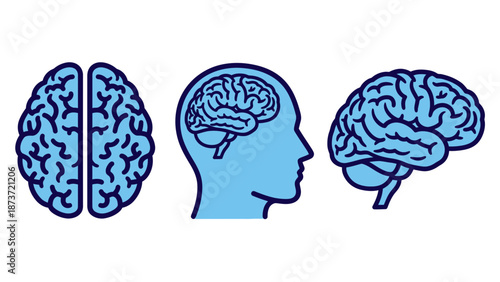 Set of human brain anatomy icons in blue line art style showing top view, side view, and brain inside a profile head for medical, neurology, and mental health concepts.