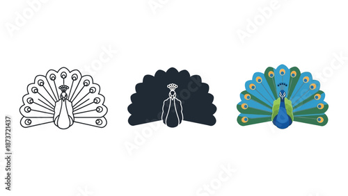 Set of three peacock icons, line art, silhouette and color illustration