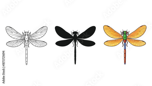 Three different styles of dragonfly illustrations detailed sketch, solid black silhouette and colorful realistic drawing