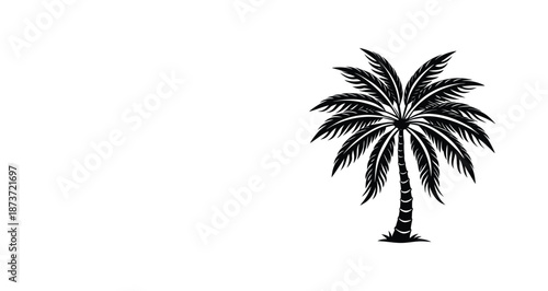 palm tree silhouette