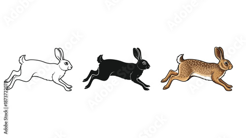 Three different colored running hares or rabbits outline, black silhouette and brown illustration