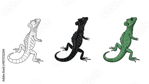 Set of three lizards in different styles outline, black silhouette and green color illustration