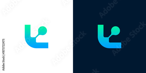 A stylized letter displayed on contrasting backgrounds