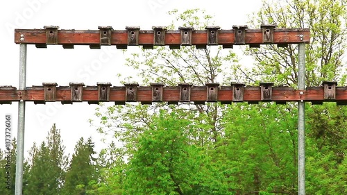  a video of a nesting bird house at a wildlife preserve in Washington state