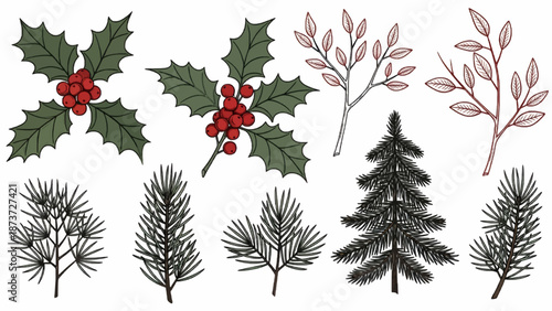 Christmas vector plants, holly berry, christmas tree, pine, leaves branches, holiday decoration, winter symbols isolated on white background. Red and black colors. Vintage nature illustration