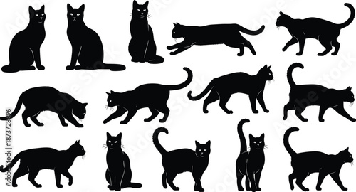 Black cat silhouette set illustration, multiple realistic feline poses collection, animal shadow shapes isolated on white background vector