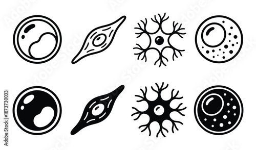 Cell type vector illustration shows cell structure diagrams of four different cell types.