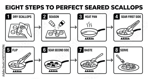 Eight steps to perfect seared scallops preparation instruction drawing illustration vector, cooking guide.