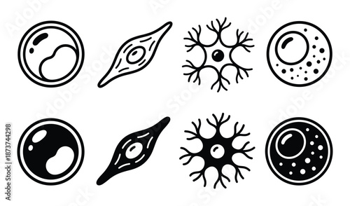 Human Cells Vector Set, Different Cell Types including Neuron, Muscle Cell, Egg Cell and Blood Cell