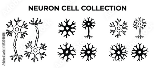 Neuron Cell Collection Vector Art: Different Neuron Cell Types, Structures and Interconnections, Science and Educational Material