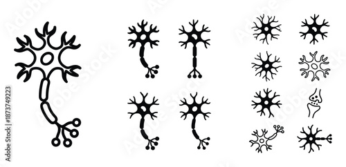 Neuron Cells Dendrites Synapse Vector Set Medical Anatomy Biology, Hand Drawn