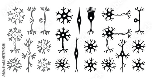 Neuron Cells Variety Vector Illustration, Neuron Types Different Shapes, Brain Cells