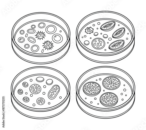 Petri dishes with microorganism colonies, bacteria and cell cultures illustration vector design.