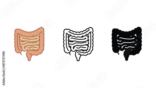 An illustration of the human large intestine in different colors and styles