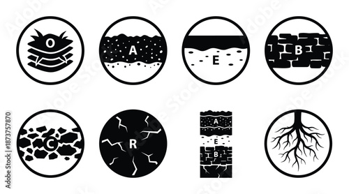 Soil Horizons Vector Diagram: O, A, E, B, C, R Layers with Root Illustration