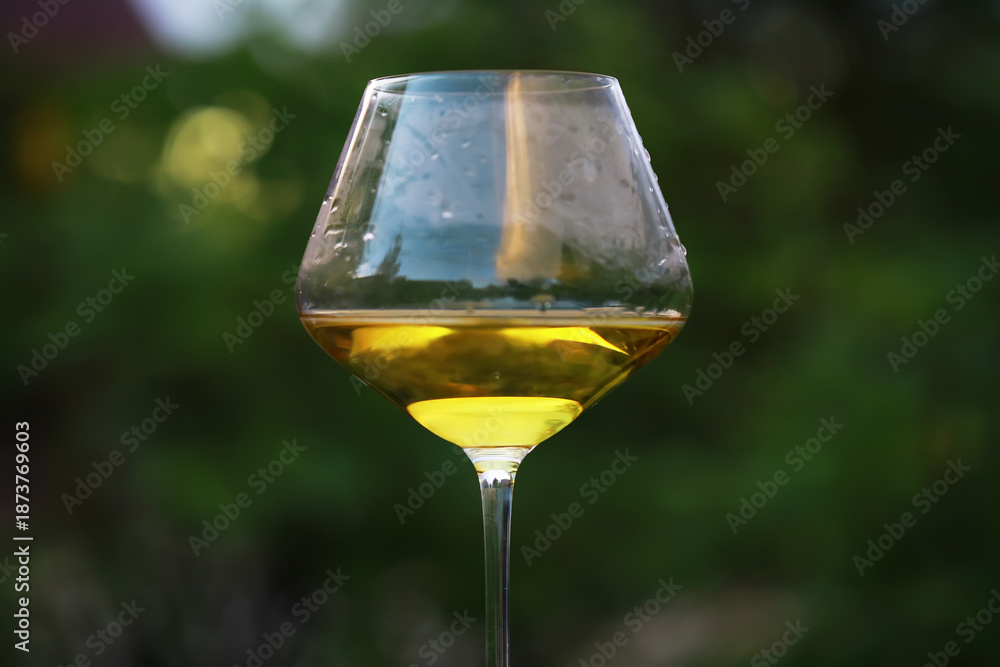 Obraz premium Close-Up of Elegant Glass of White Wine with Raindrops Against Lush Green Background