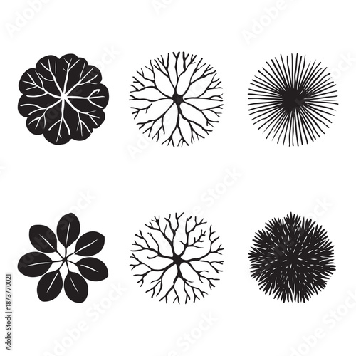 CAD Trees Top View Set – Landscape Design and Architectural Elements