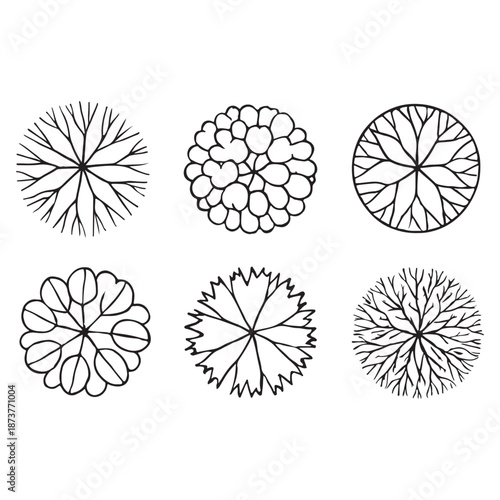 CAD Trees Top View Set – Landscape Design and Architectural Elements